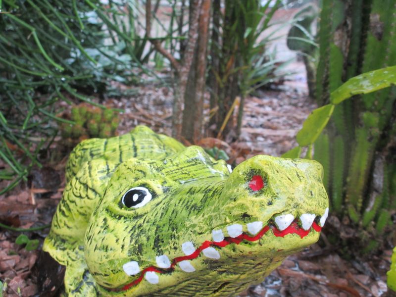 Fotokamera auf Holztisch